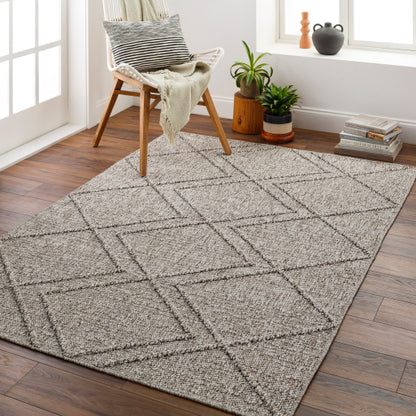 Surya Sarasota SSO-2307 Taupe Modern  Rug