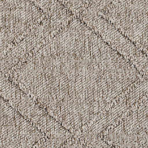 Surya Sarasota SSO-2307 Taupe Modern  Rug