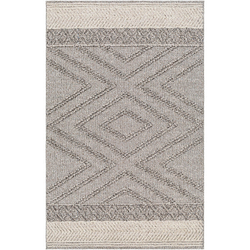 Surya Sarasota SSO-2308 Light Beige Modern  Rug