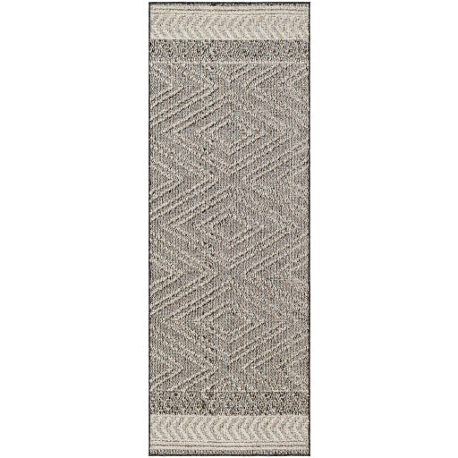Surya Sarasota SSO-2309 Brown Modern  Rug