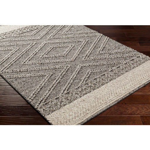 Surya Sarasota SSO-2309 Brown Modern  Rug