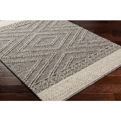 Surya Sarasota SSO-2309 Brown Modern  Rug