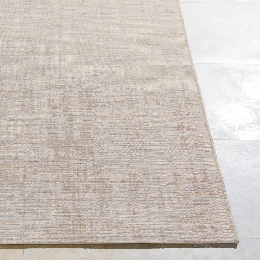 Surya Santa Cruz STZ-6012 Brown Modern  Rug