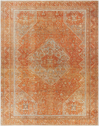 Surya Amelie AML-2351 Burnt Orange Traditional Machine Woven Rug