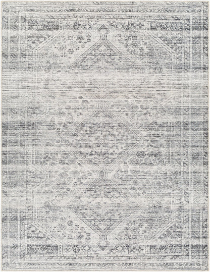Surya Amelie AML-2381 Off-White Traditional Machine Woven Rug