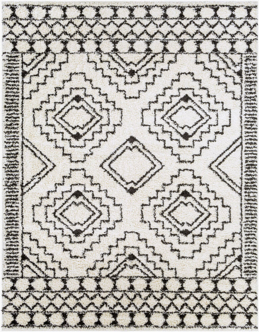 Surya Beni Shag BSH-2300 Black Global Machine Woven Rug