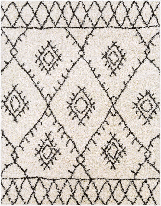 Surya Beni Shag BSH-2303 Black Global Machine Woven Rug