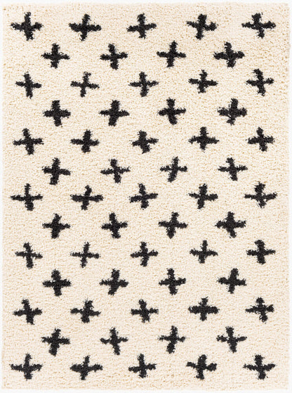 Surya Beni Shag BSH-2304 Black Global Machine Woven Rug