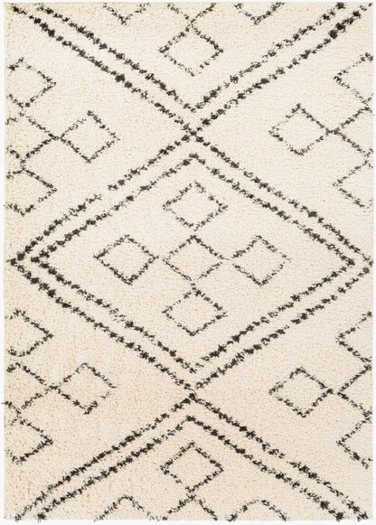 Surya Beni Shag BSH-2331 Black Global Machine Woven Rug