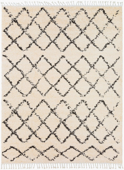 Surya Berber Shag BBE-2300 Charcoal Global Machine Woven Rug