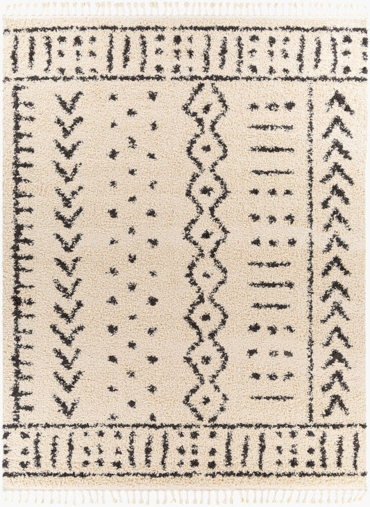 Surya Berber Shag BBE-2311 Charcoal Global Machine Woven Rug