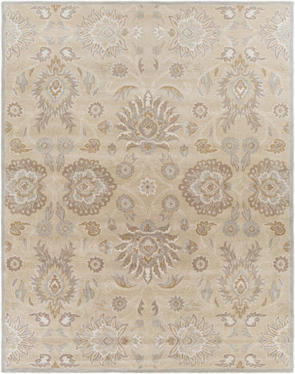 Surya Caesar CAE-1192 Taupe Traditional Hand Tufted Rug