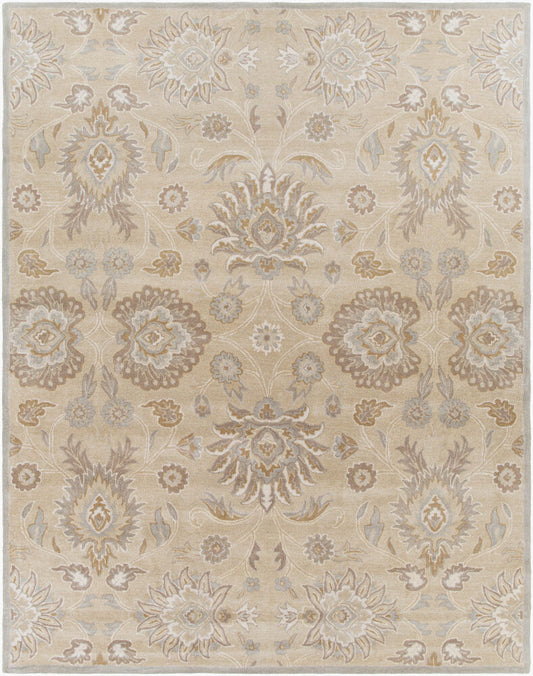 Surya Caesar CAE-1192 Taupe Traditional Hand Tufted Rug