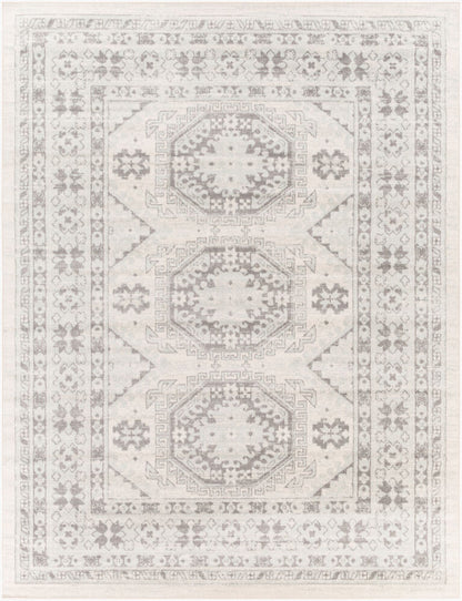 Surya Chester CHE-2309 Seafoam Global Machine Woven Rug