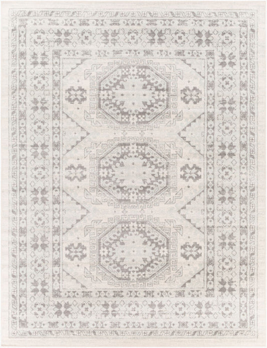 Surya Chester CHE-2309 Seafoam Global Machine Woven Rug