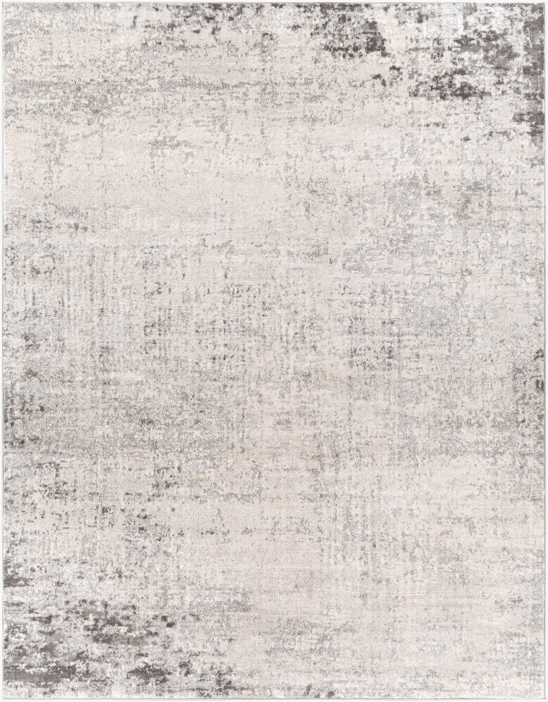 Surya Roma ROM-2393 Charcoal Modern Machine Woven Rug
