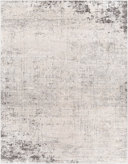 Surya Roma ROM-2393 Charcoal Modern Machine Woven Rug