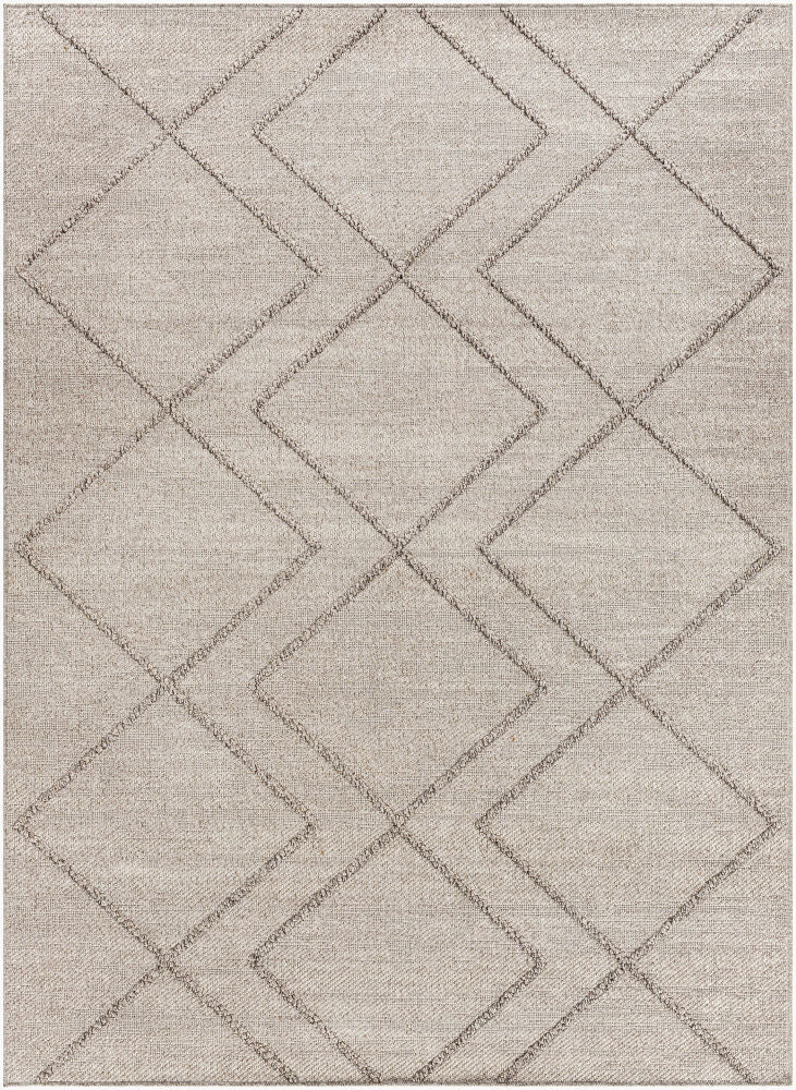 Surya Sarasota SSO-2307 Taupe Modern Machine Woven Rug