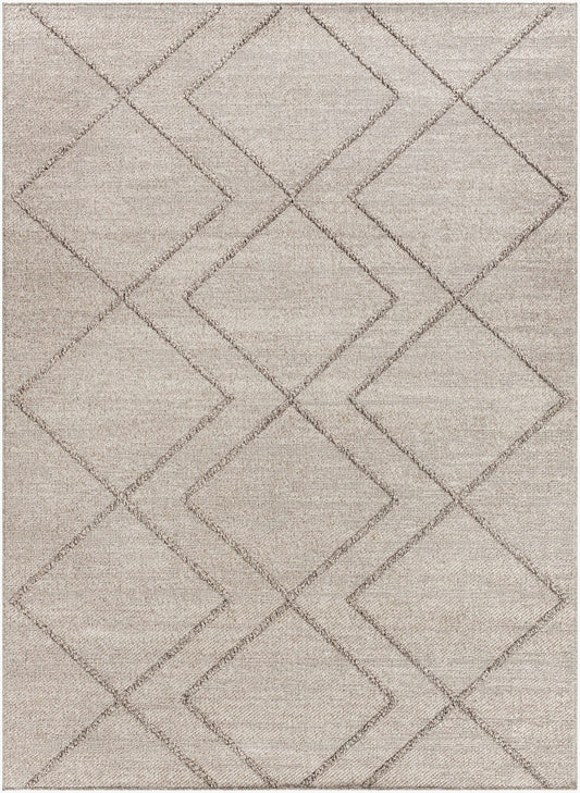 Surya Sarasota SSO-2307 Taupe Modern Machine Woven Rug