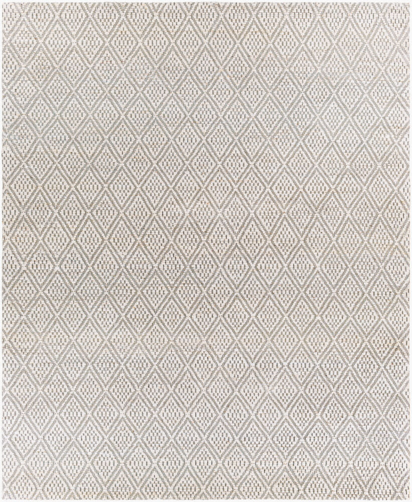Surya Trace TCE-2301 Cream Modern Hand Woven Rug