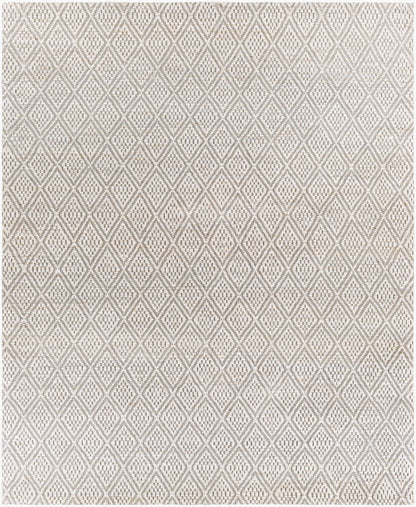 Surya Trace TCE-2301 Cream Modern Hand Woven Rug