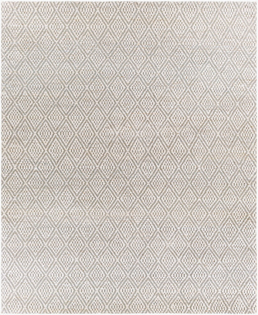 Surya Trace TCE-2301 Cream Modern Hand Woven Rug