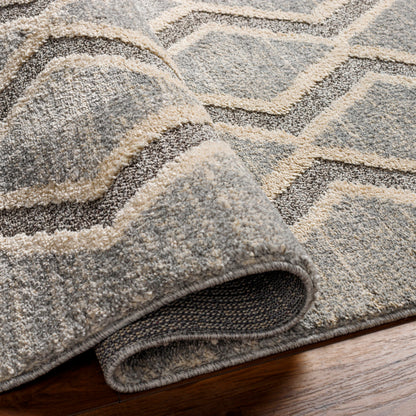 Surya Sousse SUS-2301 Gray Global  Rug