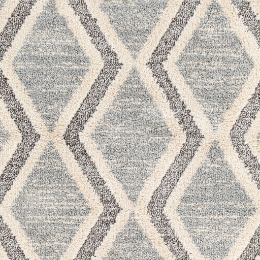 Surya Sousse SUS-2301 Gray Global  Rug