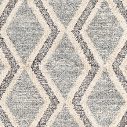 Surya Sousse SUS-2301 Gray Global  Rug