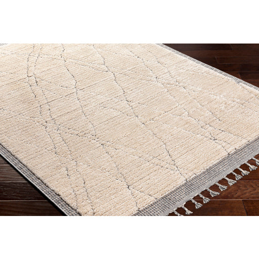 Surya Sousse SUS-2303 Light Beige Global  Rug