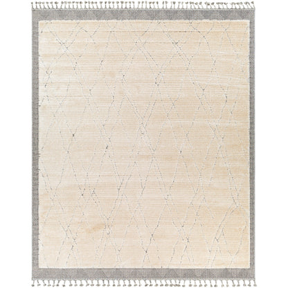 Surya Sousse SUS-2303 Light Beige Global  Rug