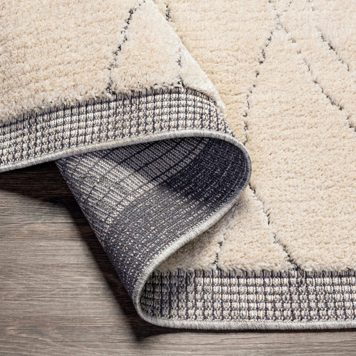 Surya Sousse SUS-2303 Light Beige Global  Rug