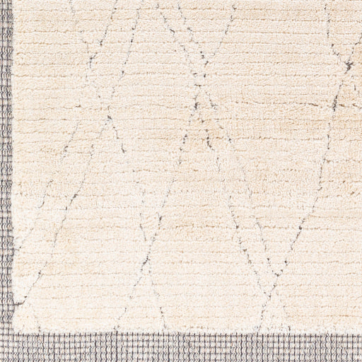 Surya Sousse SUS-2303 Light Beige Global  Rug