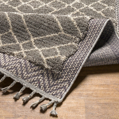 Surya Sousse SUS-2306 Gray Global  Rug