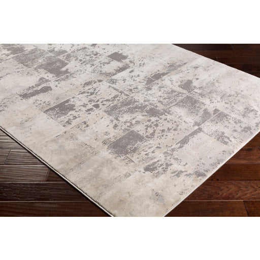 Surya Tibetan TBT-2312 Tan Modern  Rug
