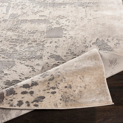 Surya Tibetan TBT-2312 Tan Modern  Rug