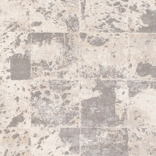 Surya Tibetan TBT-2312 Tan Modern  Rug