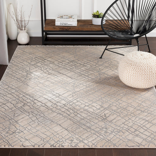 Surya Tibetan TBT-2314 Charcoal Modern  Rug