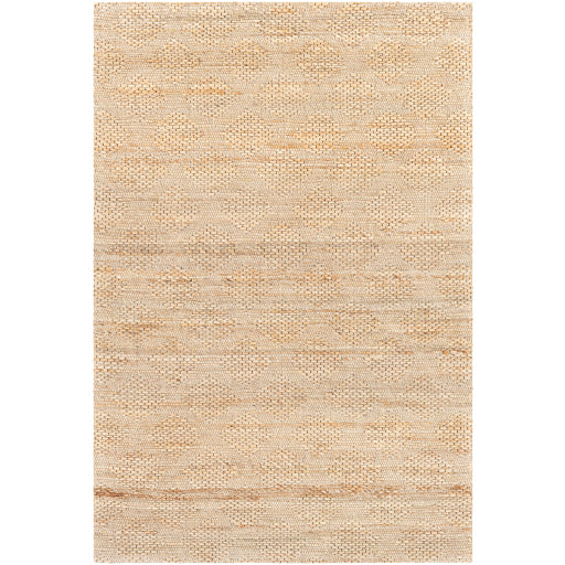 Surya Trace TCE-2303 Beige Modern  Rug