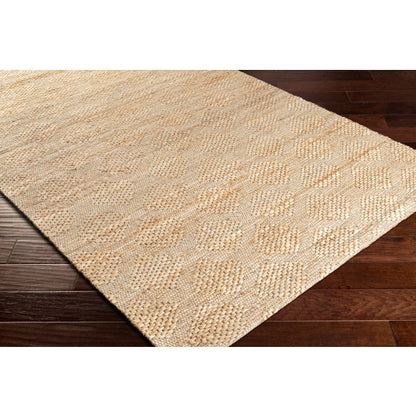Surya Trace TCE-2303 Beige Modern  Rug