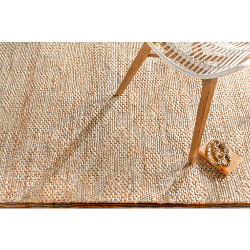 Surya Trace TCE-2303 Beige Modern  Rug