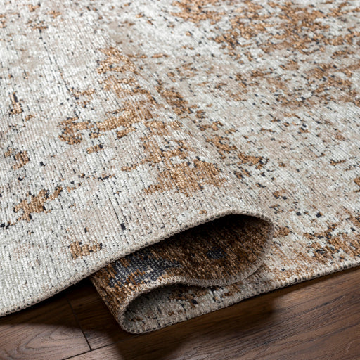 Surya Toscana TCN-2306 Cream Modern  Rug