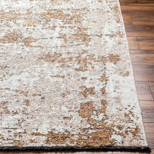 Surya Toscana TCN-2306 Cream Modern  Rug
