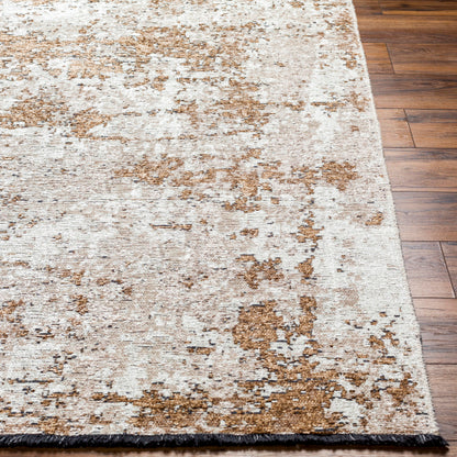 Surya Toscana TCN-2306 Cream Modern  Rug