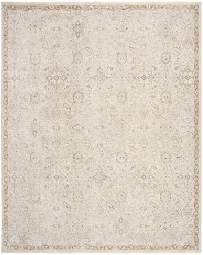 Nourison Home Envy EVV04 Taupe Traditional Machine Woven Rug