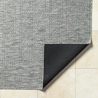 Surya Terrace TRC-2302 Black Global  Rug