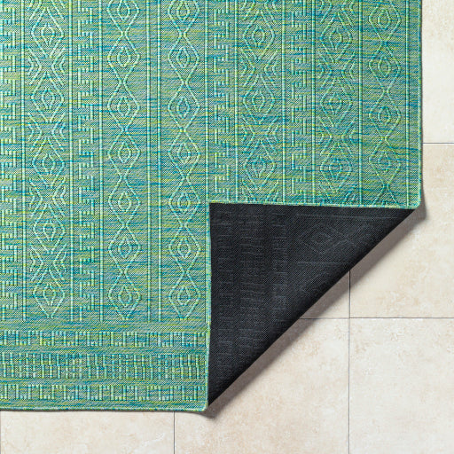 Surya Terrace TRC-2307 Dark Green Global  Rug