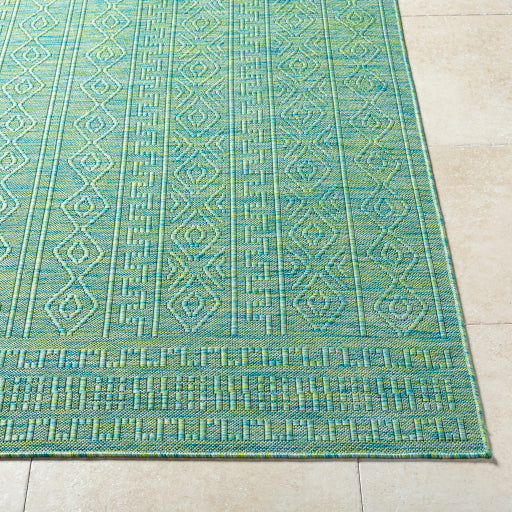 Surya Terrace TRC-2307 Dark Green Global  Rug