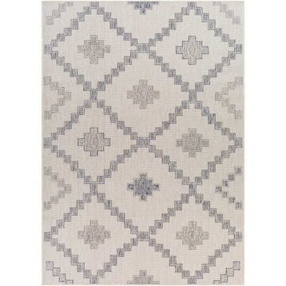 Surya Tuareg TRG-2324 Off-White Rustic  Rug