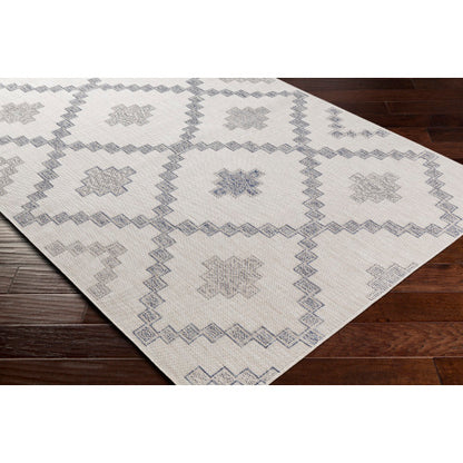 Surya Tuareg TRG-2324 Off-White Rustic  Rug